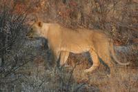 &copy; Tom Finke (Eberhardt TRAVEL)