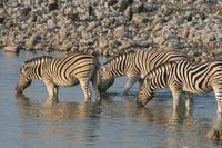 &copy; Tom Finke (Eberhardt TRAVEL)