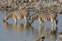 &copy; Tom Finke (Eberhardt TRAVEL)