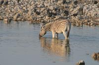 &copy; Tom Finke (Eberhardt TRAVEL)