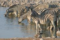 &copy; Tom Finke (Eberhardt TRAVEL)