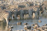 &copy; Tom Finke (Eberhardt TRAVEL)