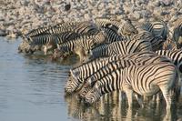 &copy; Tom Finke (Eberhardt TRAVEL)