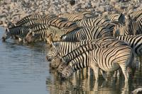 &copy; Tom Finke (Eberhardt TRAVEL)