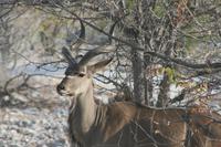 &copy; Tom Finke (Eberhardt TRAVEL)