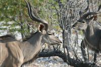 &copy; Tom Finke (Eberhardt TRAVEL)