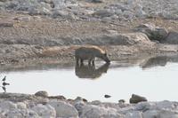 &copy; Tom Finke (Eberhardt TRAVEL)