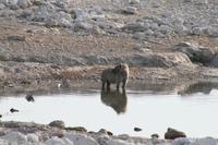 &copy; Tom Finke (Eberhardt TRAVEL)