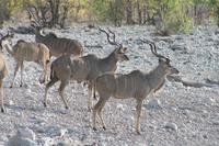 &copy; Tom Finke (Eberhardt TRAVEL)