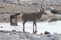 &copy; Tom Finke (Eberhardt TRAVEL)