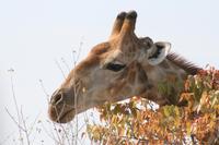 &copy; Tom Finke (Eberhardt TRAVEL)