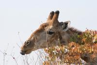 &copy; Tom Finke (Eberhardt TRAVEL)