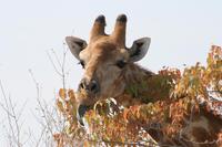 &copy; Tom Finke (Eberhardt TRAVEL)