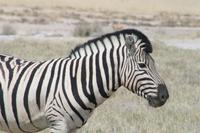 &copy; Tom Finke (Eberhardt TRAVEL)