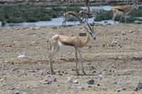 &copy; Tom Finke (Eberhardt TRAVEL)