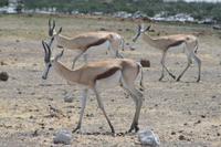 &copy; Tom Finke (Eberhardt TRAVEL)