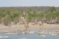 &copy; Tom Finke (Eberhardt TRAVEL)