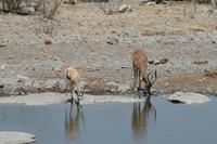 &copy; Tom Finke (Eberhardt TRAVEL)