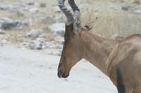 &copy; Tom Finke (Eberhardt TRAVEL)