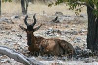 &copy; Tom Finke (Eberhardt TRAVEL)