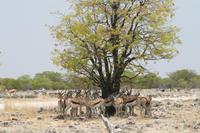 &copy; Tom Finke (Eberhardt TRAVEL)