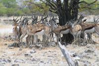 &copy; Tom Finke (Eberhardt TRAVEL)