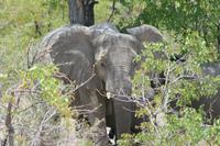 &copy; Tom Finke (Eberhardt TRAVEL)