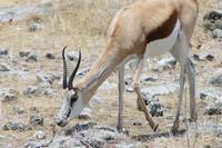 &copy; Tom Finke (Eberhardt TRAVEL)