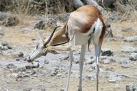 &copy; Tom Finke (Eberhardt TRAVEL)