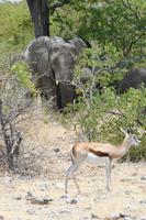 &copy; Tom Finke (Eberhardt TRAVEL)