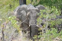 &copy; Tom Finke (Eberhardt TRAVEL)