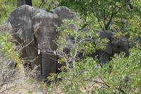 &copy; Tom Finke (Eberhardt TRAVEL)