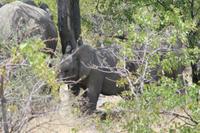 &copy; Tom Finke (Eberhardt TRAVEL)