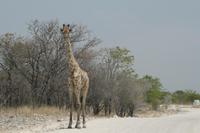 &copy; Tom Finke (Eberhardt TRAVEL)