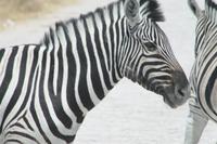 &copy; Tom Finke (Eberhardt TRAVEL)