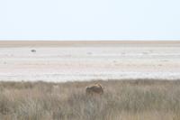 &copy; Tom Finke (Eberhardt TRAVEL)