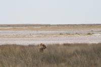 &copy; Tom Finke (Eberhardt TRAVEL)