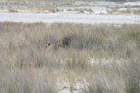 &copy; Tom Finke (Eberhardt TRAVEL)