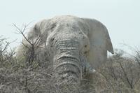 &copy; Tom Finke (Eberhardt TRAVEL)