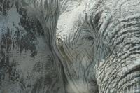 &copy; Tom Finke (Eberhardt TRAVEL)