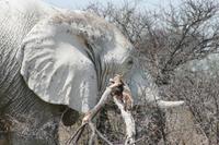 &copy; Tom Finke (Eberhardt TRAVEL)