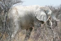 &copy; Tom Finke (Eberhardt TRAVEL)