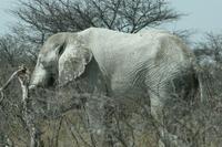 &copy; Tom Finke (Eberhardt TRAVEL)