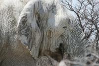 &copy; Tom Finke (Eberhardt TRAVEL)