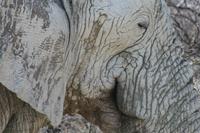 &copy; Tom Finke (Eberhardt TRAVEL)