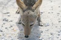 &copy; Tom Finke (Eberhardt TRAVEL)