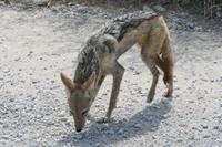 &copy; Tom Finke (Eberhardt TRAVEL)