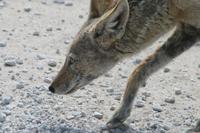 &copy; Tom Finke (Eberhardt TRAVEL)