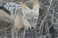 &copy; Tom Finke (Eberhardt TRAVEL)