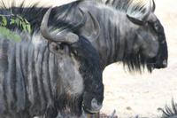 &copy; Tom Finke (Eberhardt TRAVEL)